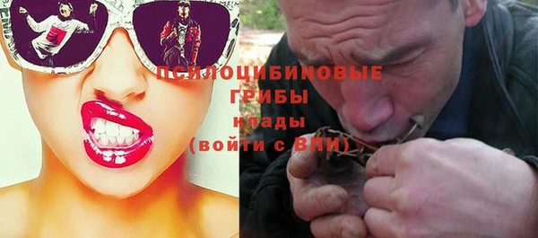 apvp Переславль-Залесский