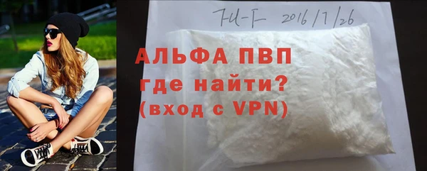эйфоретик Пересвет
