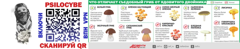 Галлюциногенные грибы мухоморы  площадка формула  Похвистнево 