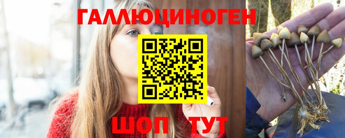 Галлюциногенные грибы GOLDEN TEACHER Похвистнево