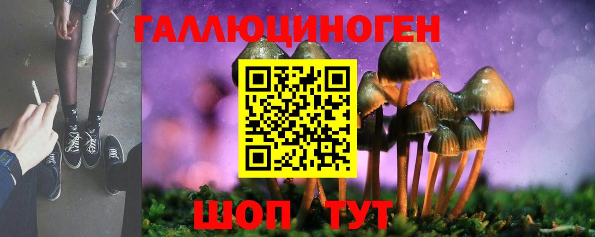 Галлюциногенные грибы мицелий  Вход с VPN  что такое   Похвистнево 